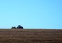 Por que o plantio de trigo começa com incertezas no RS (e tendência de retração em área)