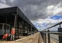 Projeto Embarcadero do Cais Mauá será aberto em breve; veja fotos