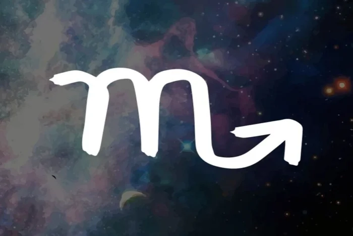 Cro Magnon / Shutterstock | Portal EdiCase