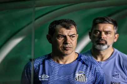 Fábio Carille, futebol, Santos