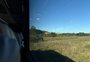 Trem do Pampa impulsiona turismo em Santana do Livramento e transforma perfil de visitantes na fronteira