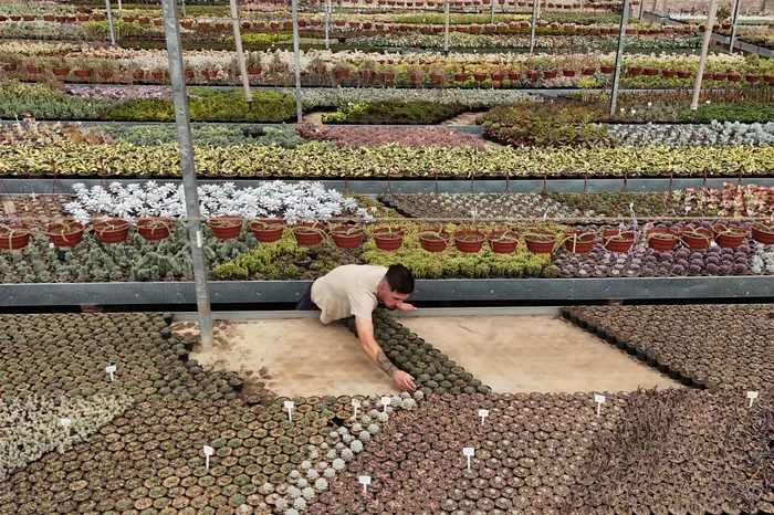 Jeff Botega / Agencia RBS