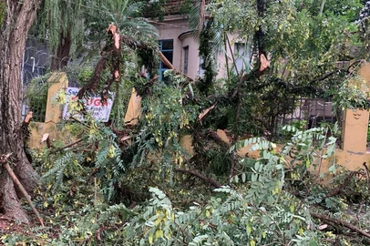 Um dia depois do temporal que atingiu Porto Alegre, a cidade ainda enfrenta os impactos dos estragos. <!-- NICAID(16007461) -->