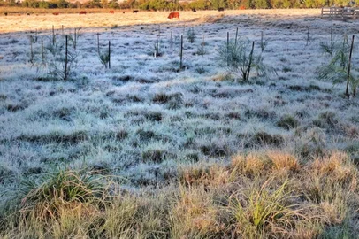 Previsão de frio e de geada põe campo em alerta no RS<!-- NICAID(16083560) -->