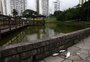Nova aparição de peixes mortos preocupa usuários do Parque Germânia