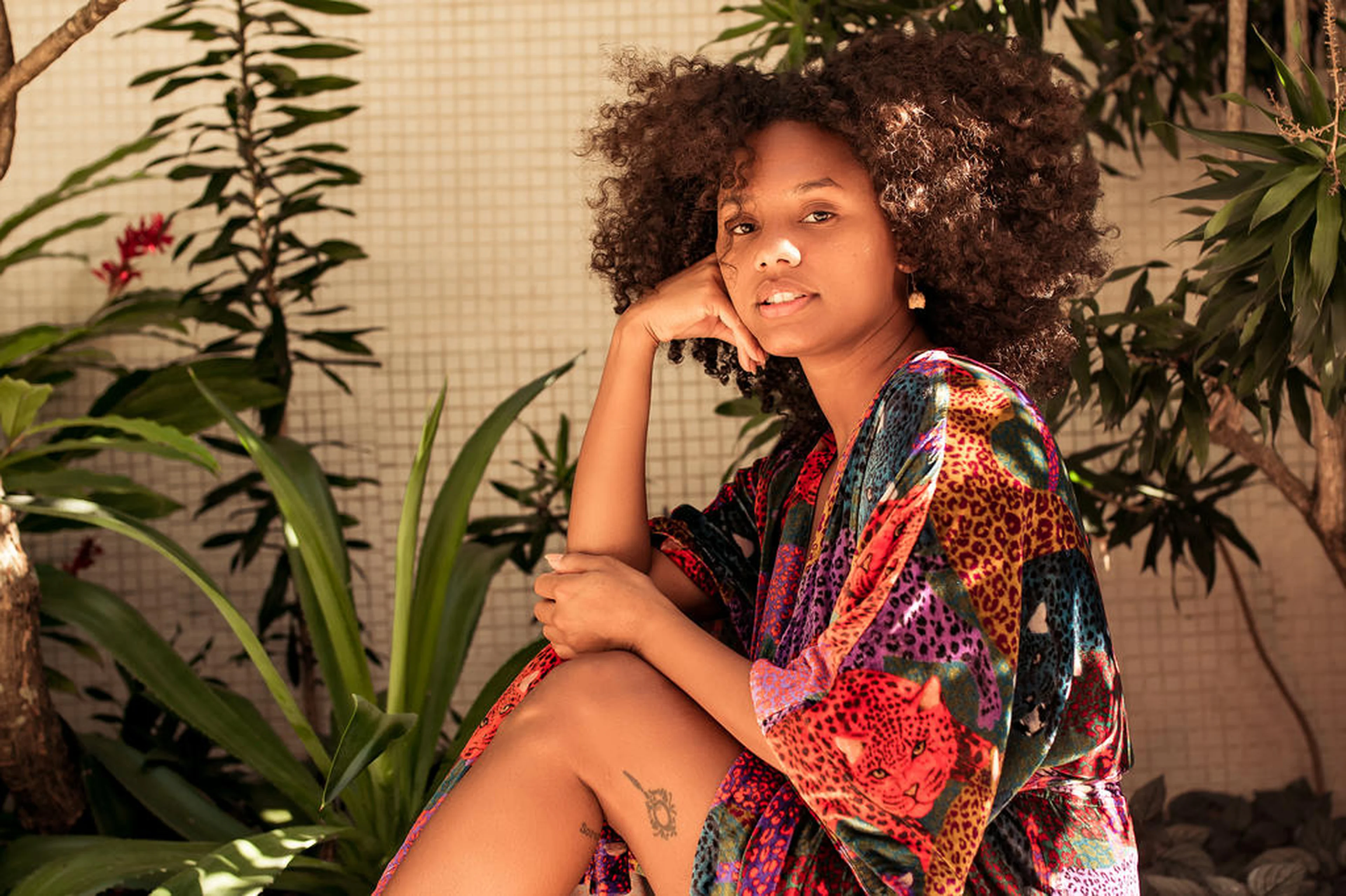 Wendy Andrade/Divulgação