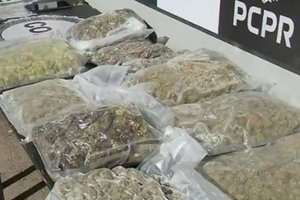 Polícia Civil / Divulgação Polícia Civil / Divulgação