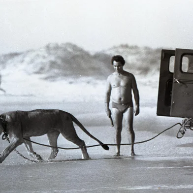 Leão e seu dono na beira da praia em Tramandaí. 08/01/1986. #Envelope: 40276#Fotógrafo: Marcos Fernandez<!-- NICAID(15853547) -->