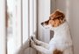 Adotou um pet na pandemia e agora ele não consegue ficar sozinho? Veterinária dá dicas