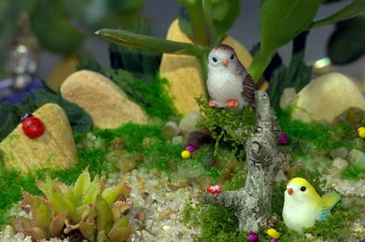 Jardins com alma: bióloga de Passo Fundo transforma suculentas e terrários em negócio<!-- NICAID(16081606) -->