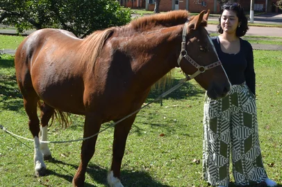 Cavalo Caramelo e estudante Carolina Marques de Mesquita<!-- NICAID(16094057) -->