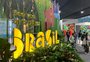Como são os estandes do Brasil na COP29; assista ao vídeo