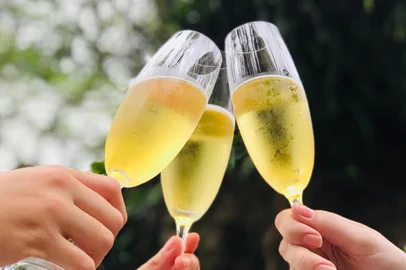 espumante, vinhos, destemperados<!-- NICAID(13854461) -->