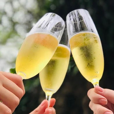 espumante, vinhos, destemperados<!-- NICAID(13854461) -->