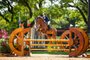 atleta disputou competilção na Sociedade Hípica Paulista-SP <!-- NICAID(15300729) -->