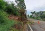 Chuva causa bloqueios em rodovias da Serra