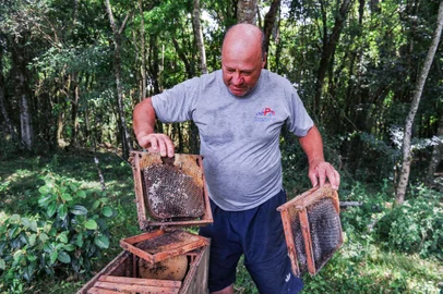 VERANÓPOLIS, RS, BRASIL, 15/12/2022. Municípios da Serra confirmam morte de milhões de abelhas por uso indevido de inseticidas. Na foto Vilmar Menegon (Neimar De Cesero/Agência RBS)<!-- NICAID(15297563) -->