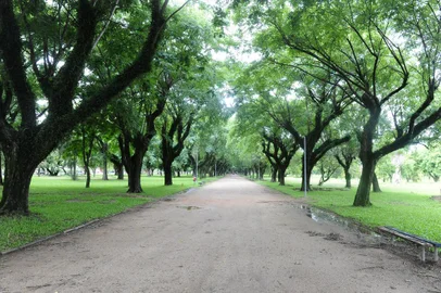PORTO ALEGRE,RS,BRASIL.Parque Marinha do Brasil,depois do temporal de 2016.(RONALDO BERNARDI/AGNECIA RBS.).<!-- NICAID(14700984) -->