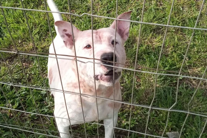 Omero Sampaio de Souza / Acervo Pessoal