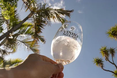 evento, vinho, cais embarcadero, destemperados<!-- NICAID(15435226) -->