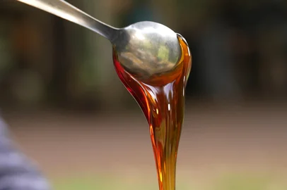 Bem + Agro, mel , mel na colher. Aryel Martins/ RBS TV <!-- NICAID(16109601) -->