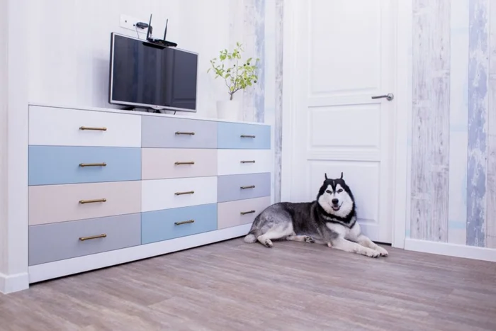 AlexMV / Shutterstock | Portal EdiCase