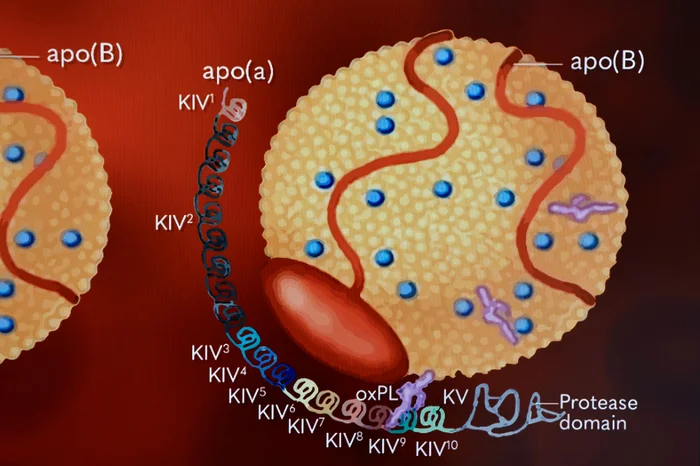 Jeff Botega / Agencia RBS Jeff Botega / Agencia RBS