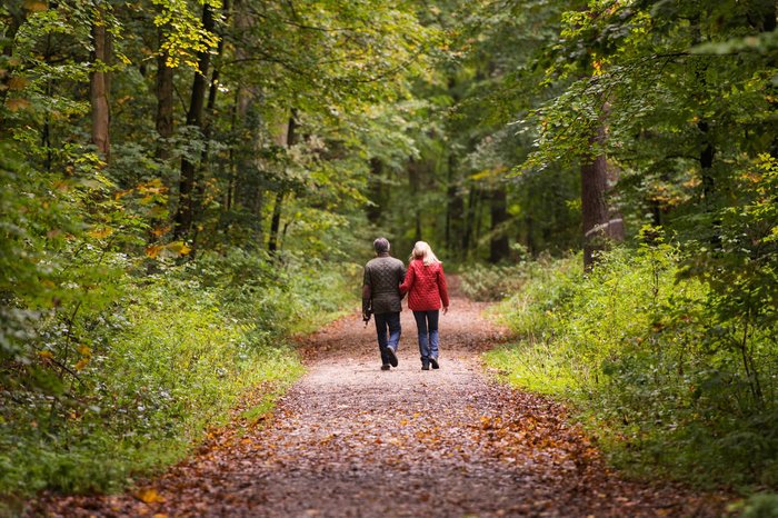 DoraZett / stock.adobe.com