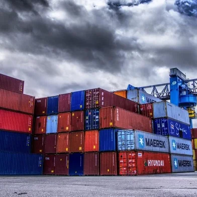 Exportações brasileiras de carne de frango alcançam 514,6 mil toneladas em março<!-- NICAID(15398869) -->