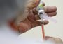 Com baixa procura, Porto Alegre tem mais de 200 mil doses da vacina contra a gripe em estoque