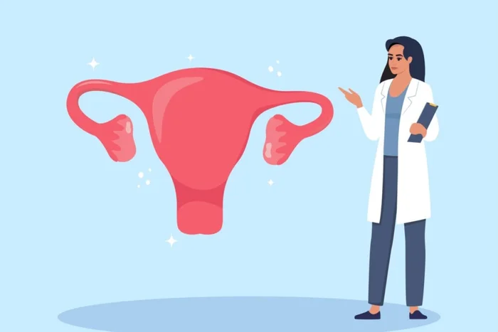 Alena Nv / Shutterstock | Portal EdiCase Alena Nv / Shutterstock | Portal EdiCase