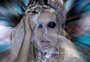 10 clipes LGBTQIA+ que marcaram a cultura pop com representatividade