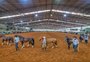Um ano após enchente, pista do cavalo crioulo no parque Assis Brasil, em Esteio, será palco do Bocal de Ouro 
