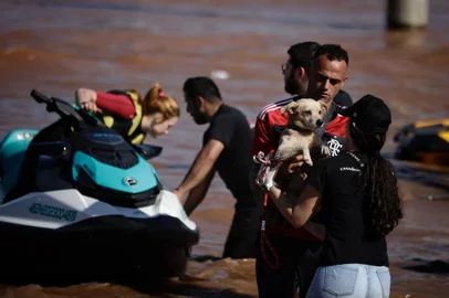 Porto Alegre, RS, Brasil, 06-05-2024: Pessoas e animais resgatados chegam a estrutura montada junto da Usina do Gasômetro, onde atuam equipes de salvamento, saúde e voluntários na acolhida. Foto: Mateus Bruxel / Agência RBS<!-- NICAID(15756214) -->