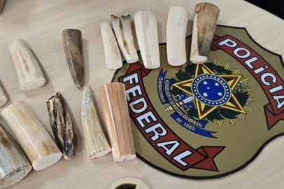 PF cumpre mandado judicial em investigação de crime ambiental no RS, dente de morsa<!-- NICAID(15732968) -->