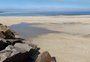 Organismos parecidos com algas tomam faixas de areia na Praia do Cassino; entenda por que surgem os briozoários