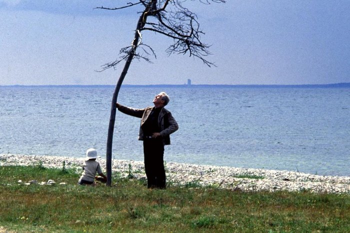 MUBI / Divulgação MUBI / Divulgação