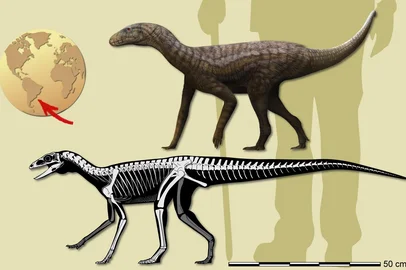 Iliustração de um Gondwanax paraisensis, desenhada por Matheus Fernandes<!-- NICAID(15889852) -->
