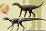 Fóssil de precursor dos dinossauros encontrado no RS pode explicar a evolução de espécies pré-históricas; veja fotos