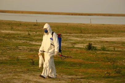 Necessidade de trabalho integrado é destaque na reunião da Famurs sobre influenza aviária<!-- NICAID(15444883) -->