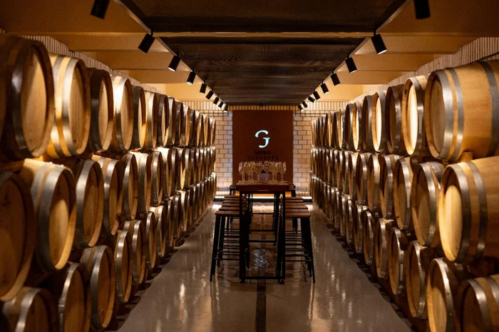 Miolo / Divulgação