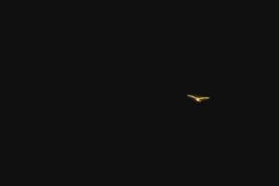 Imagens de um objeto sobrevoando o centro de Brasília, na noite do último dia 14, chamaram atenção de usuários de redes sociais na última semana. Pontos de luz sobrevoaram de forma rápida o Congresso Nacional. As luzes foram captadas ando também pelo céu da Esplanada dos Ministérios e desapareceram em seguida<!-- NICAID(15518099) -->