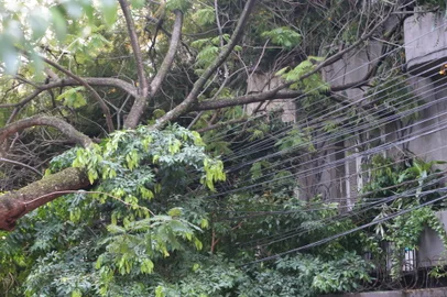 PORTO ALEGRE,RS,BRASIL.2023,02,15.Estragos causadso pelo temporal em Porto Alegre, arvores tombadas na AV.Borges de Medeiros e Fernando Machado esquina com Marechal Floriano , com trânsito interrompido.Na foto.Rua Fernando Machado.(RONALDO BERNARDI/AGENCIA RBS).<!-- NICAID(15349894) -->