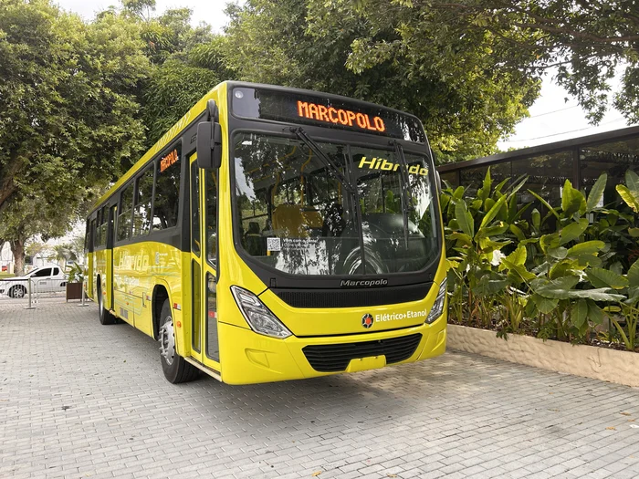 Marcopolo / Divulgação