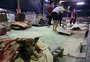 ONG promove feira de acolhimento temporário de cães resgatados nas enchentes