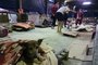 ONG promove adoção de cães no Parque Germânia<!-- NICAID(15760127) -->