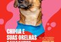Governo do RS renova campanha de adoção de animais atingidos pela enchente
