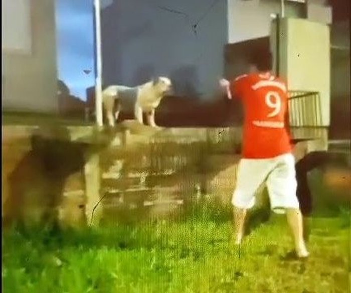 Polícia Civil / Reprodução