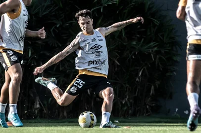 Vinicius Zanocelo, santos, inter