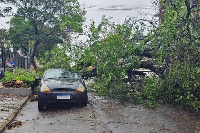 Tatiana Tramontina / Agencia RBS